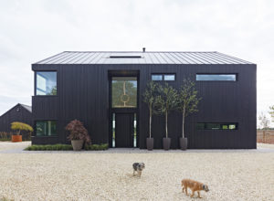 Barn style black door