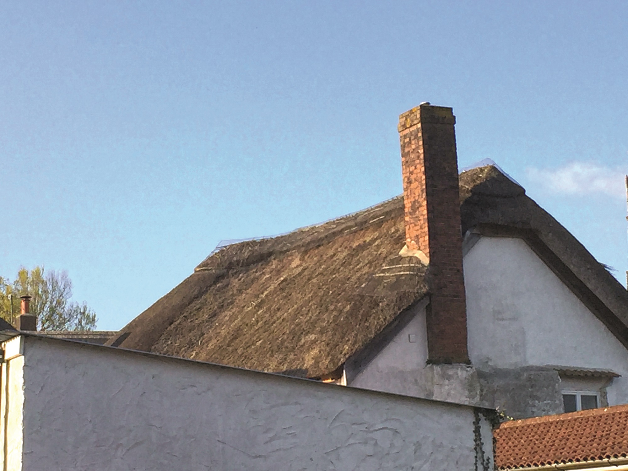 Period home with old thatch roof