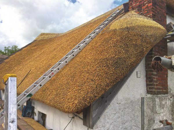 Period home with new thatch roof