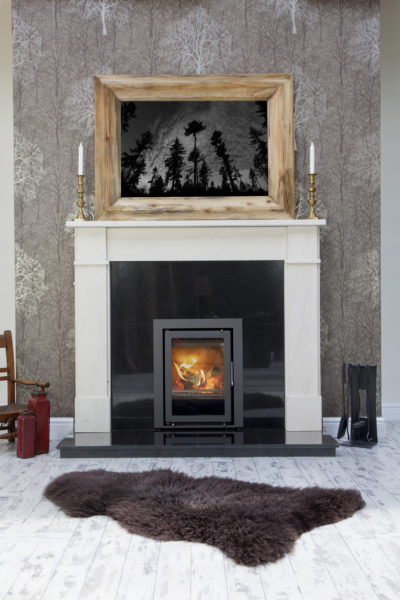 Fireplace in traditional setting
