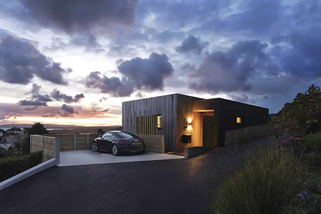 Brimstone ash timber cladding