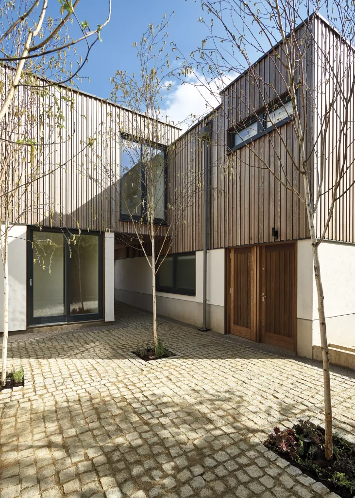 Brimstone ash thermally modified timber