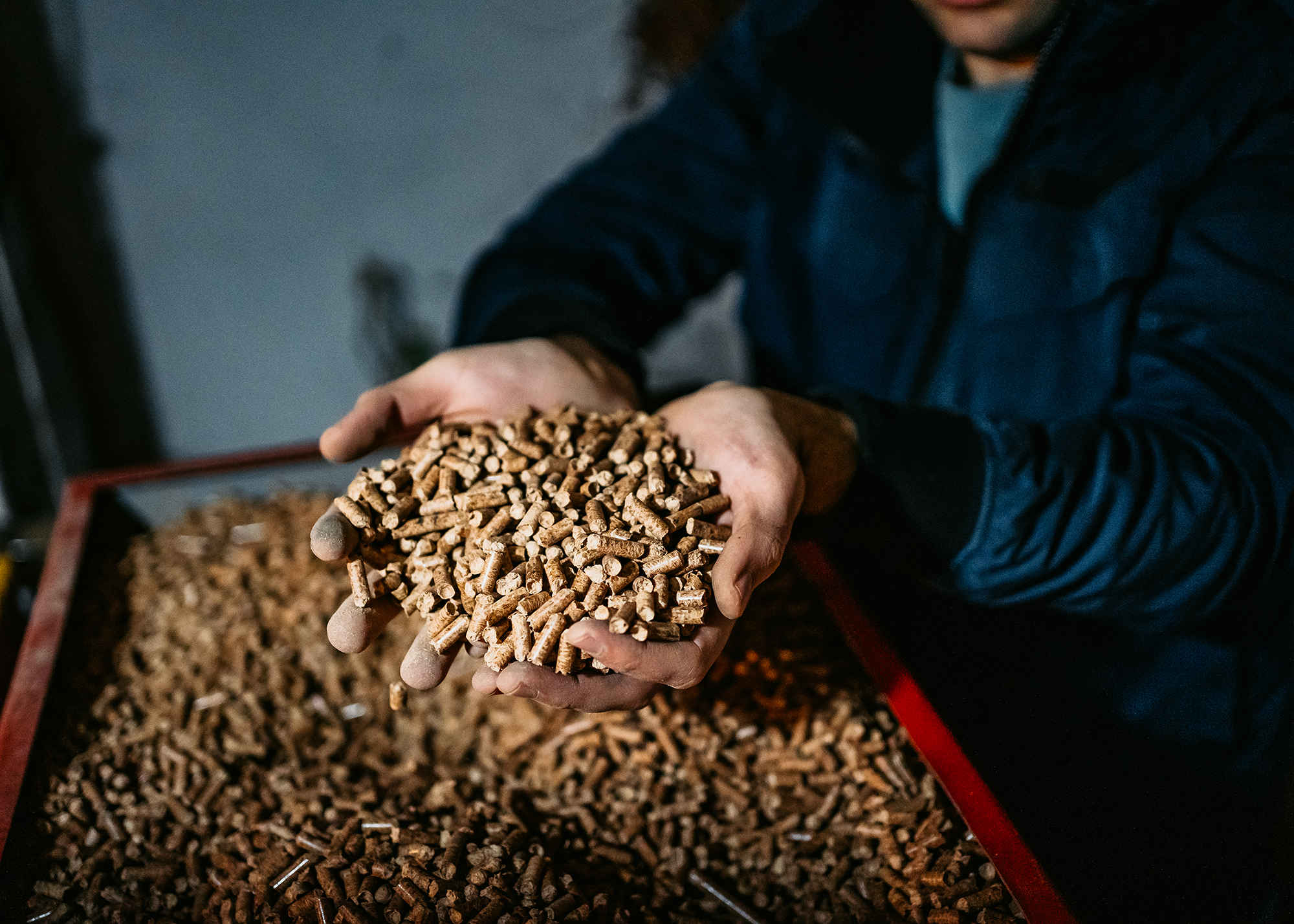 Heat Pumps vs Biomass Boilers – How to Choose the Right Sustainable Heating Solution